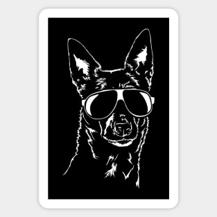 Funny Proud Australian Kelpie sunglasses cool dog Sticker